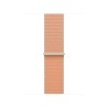 Watch Acc/42/Cantaloupe Sport Loop