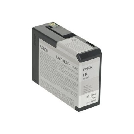 Epson T580 Light Black (80 ml)