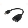Lenovo Mini DP (M) TO Full Size (F) Cable