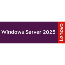 Windows Svr 2025 CAL (10 Device)