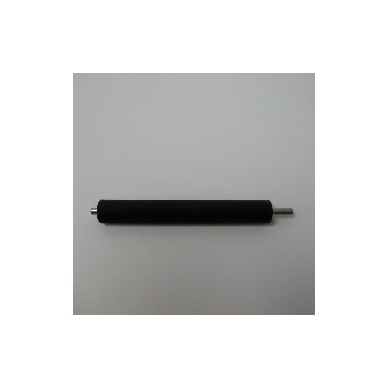 Platen Kit TT 8 dots/mm(203dpi)ZD420 P1080383010