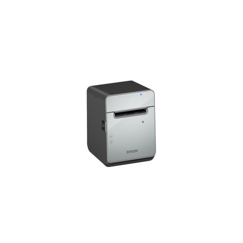 Epson TM-L100 (103)