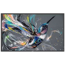 65" D-LED Philips 65BDL3511Q-UHD,IPS,400cd,MP,18/7