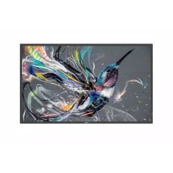 65" D-LED Philips 65BDL3650Q-UHD,IPS,400cd,AN,18/7 65BDL3650Q00