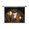 NOBO Wall Screen š175 x v132 -matný bílý,4:3