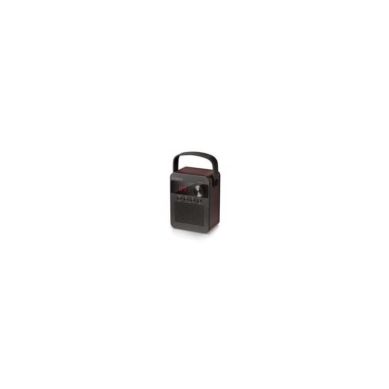 CARNEO F90 FM rádio, bluetooth reproduktor, black/wood