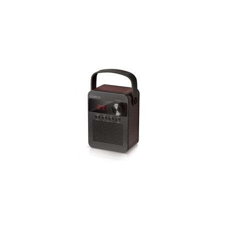 CARNEO F90 FM rádio, bluetooth reproduktor, black/wood