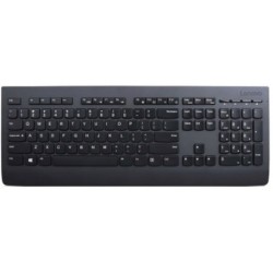 Lenovo Professional/Bezdrátová USB/RU layout/Černá