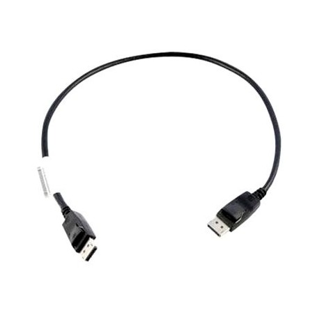 Lenovo DisplayPort to DisplayPort Cable 0,5m