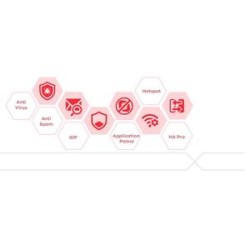 ZYXEL 2 YR CF/SecuReporter/SPS USG20(W)-VPN