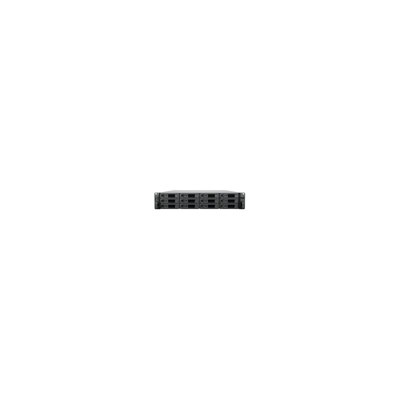 Synology SA3410