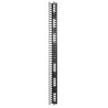 Vertical Cable Manager for NetShelter SX750mm W48U