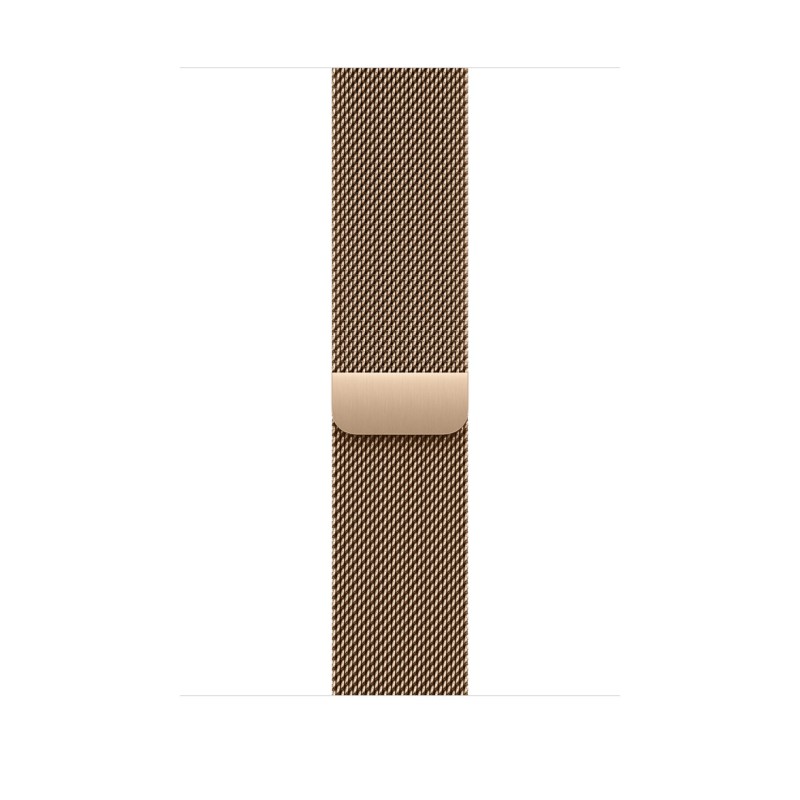 Watch Acc/46/Gold Milanese Loop - S/M