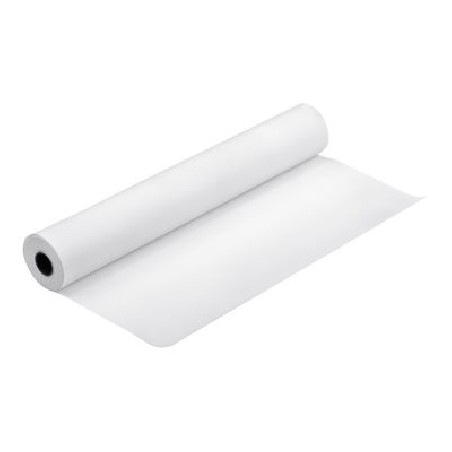 Epson Premium Luster Photo Paper (260) - Třpytivý - Role (111,8 cm x 30,5 m) 1 role fotografický papír - pro Stylus Pro 11880