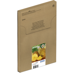 EPSON Multipack 4-colours 604XL EasyMail