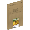 EPSON Multipack 4-colours 604XL EasyMail