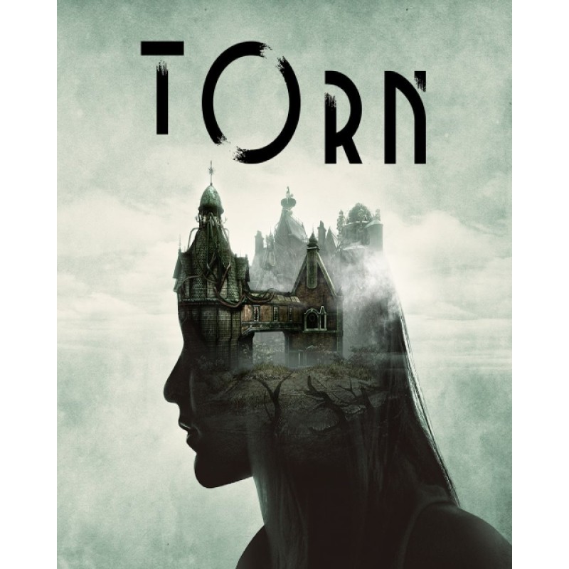 Torn – hra pro PC (elektronická licence)