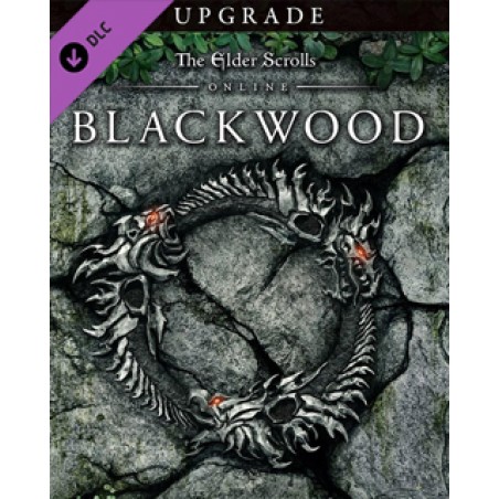 The Elder Scrolls Online Blackwood Upgrade – herní rozšíření pro PC (elektronická licence)