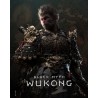 ESD Black Myth Wukong
