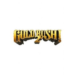Gold Rush! 2 – hra pro PC (elektronická licence)