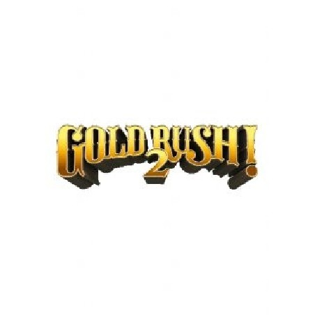Gold Rush! 2 – hra pro PC (elektronická licence)
