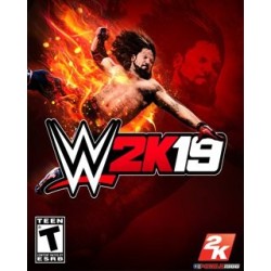 WWE 2K19 – hra pro PC (elektronická licence)