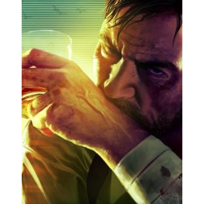 Max Payne 3 Complete – hra pro PC (elektronická licence)