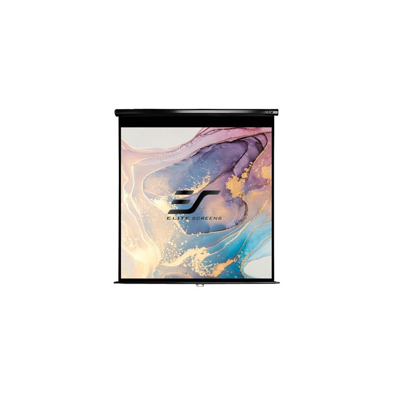 ELITE plátno roleta 99'' 1:1