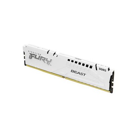 Kingston FURY Beast White/DDR5/32GB/5200MHz/CL40/1x32GB/White