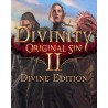 Divinity Original Sin 2 Divine Edition – hra pro PC (elektronická licence)