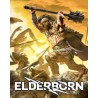 ELDERBORN – hra pro PC (elektronická licence)