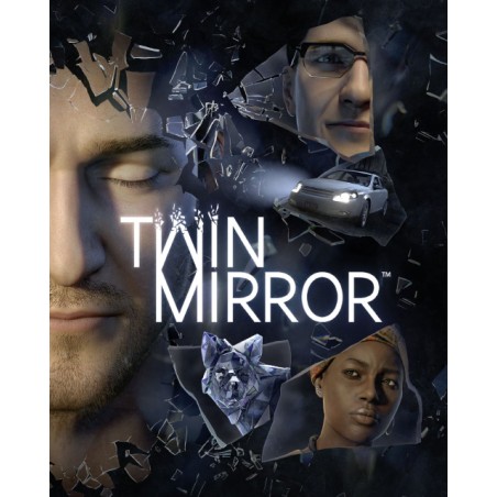 ESD Twin Mirror