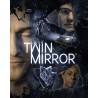 ESD Twin Mirror
