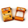 Ribbon, Color-KdO, 500 Images, ZXP3 800033850