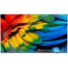 43" HTV Philips 43HFL6214U - BusinessTV
