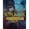 Full Spectrum Warrior Ten Hammers – hra pro PC (elektronická licence)