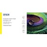 Epson Production - Polyetylén (PE) - pololesklý - mikropóry - 200 micron - Role (60,96 cm x 30 m) - 200 g/m? - 1 role