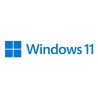 Windows Pro 11 64-bit Eng USB