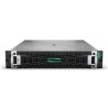 HPE PL DL345g11 AMD Epyc 9115 (2.6G/16C) 2x32G (P64985) 2x960G 2x1000W MR416i-p 8LFF 4p1G Arm Smart Choice
