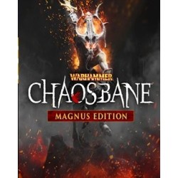 Warhammer Chaosbane Magnus Edition – hra pro PC (elektronická licence)