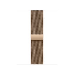 Watch Acc/40/Gold Milanese Loop