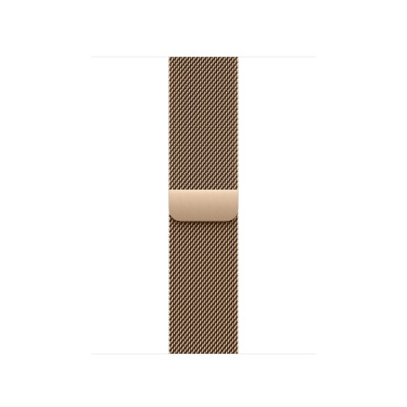 Watch Acc/40/Gold Milanese Loop