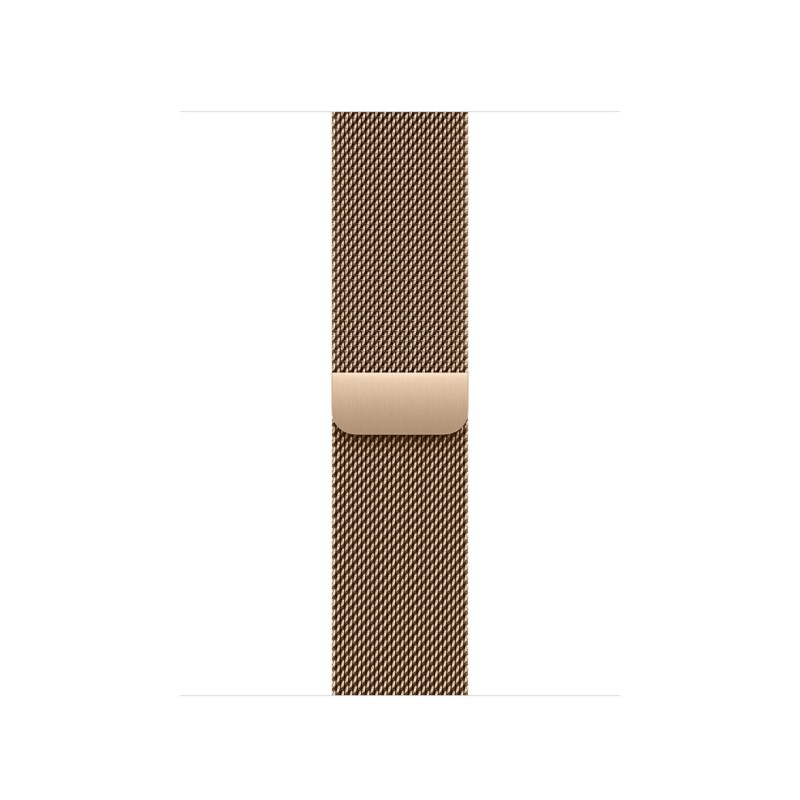 Watch Acc/42/Gold Milanese Loop