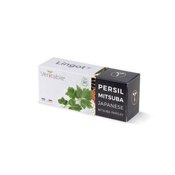 Véritable Lingot Japonská petržel Mitsuba