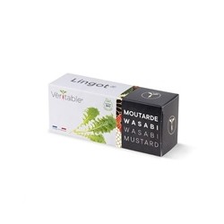 Véritable Lingot Wasabi hořčice listová - BIO