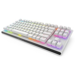 TENKEYLESS GAMING KB - AW420K/LUNAR LIGHT