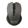 CANYON myš optická bezdrátová CMSW1, nastavitelné rozlišení 800/1000/1200 dpi, 4 tl, USB nano reciever, šedá