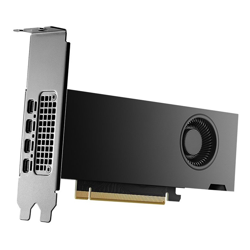 PNY VGA NVIDIA RTX 2000 ADA 16G, 16G GDDR6, 4xmDP
