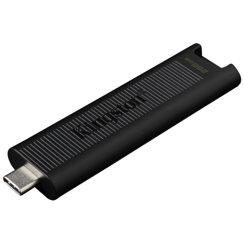 Kingston USB flash disk, USB 3.0, 256GB, DataTraveler Max, černý, DTMAX/256GB, USB C
