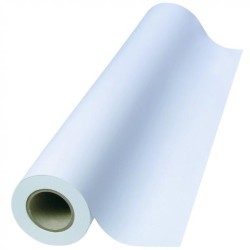 Plotrová role, 420/46m/50, 17", 1-pack, 80 g/m2, papír, 420mmx46m, pro inkoustové tiskárny, role